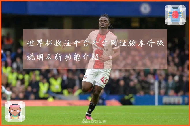 世界杯投注平台平台网址版本升级说明及新功能介绍