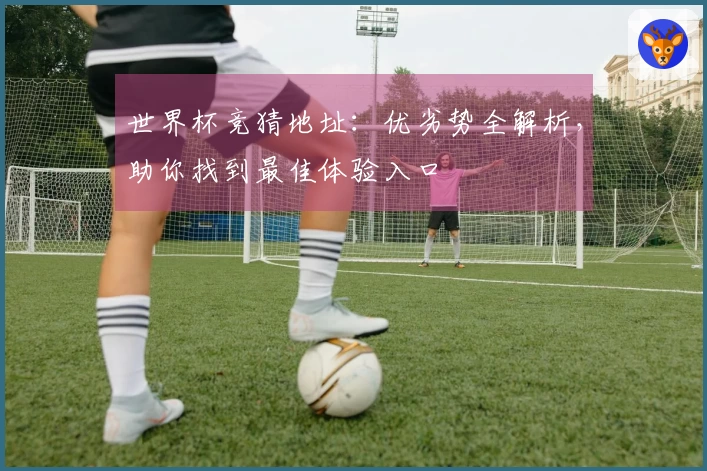 世界杯竞猜地址：优劣势全解析，助你找到最佳体验入口