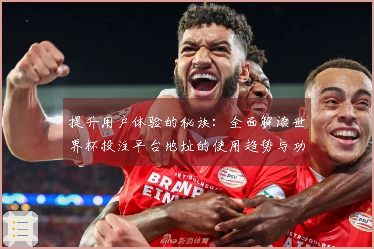 提升用户体验的秘诀：全面解读世界杯投注平台地址的使用趋势与功能分析