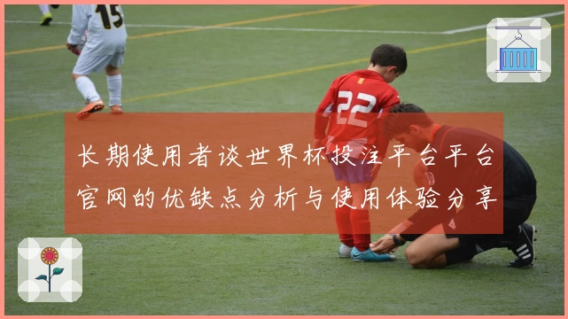 长期使用者谈世界杯投注平台平台官网的优缺点分析与使用体验分享