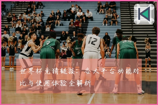 世界杯竞猜链接：各大平台功能对比与使用体验全解析