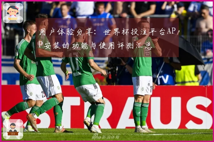 用户体验分享：世界杯投注平台APP安装的功能与使用评测汇总