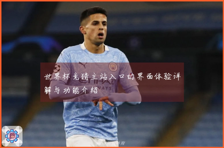 世界杯竞猜主站入口的界面体验详解与功能介绍